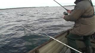 preview picture of video 'Fishing - 26lb Pike caught on Lough Derg Part 1'