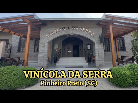 VINÍCOLA DA SERRA - PINHEIRO PRETO (SC). #turismo #viagem #vinho #vinicola #santacatarina