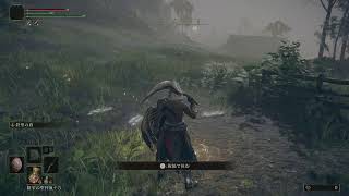【ELDEN RING】エルデン最強!！【エルデン リング】#9