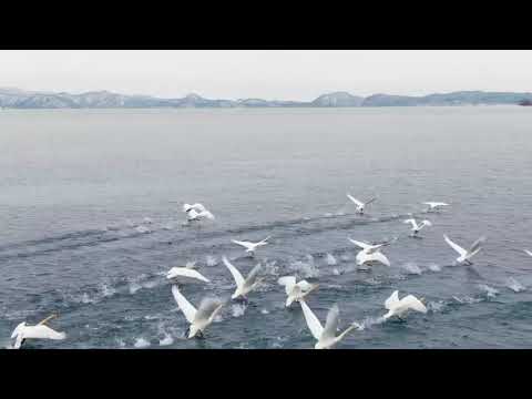 Lake Inawashiro / Fukushima in Winter