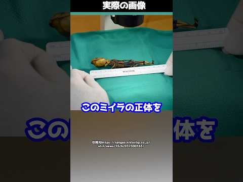 【真相判明】15cmの“宇宙人ミイラ”！？DNA解析の結果、正体は…！ #shorts