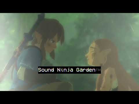 Sound Ninja Cholo Music Video