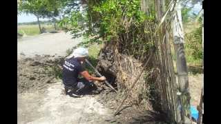 preview picture of video 'pest control expert l termite control l Cavite l Batangas l Philippines'