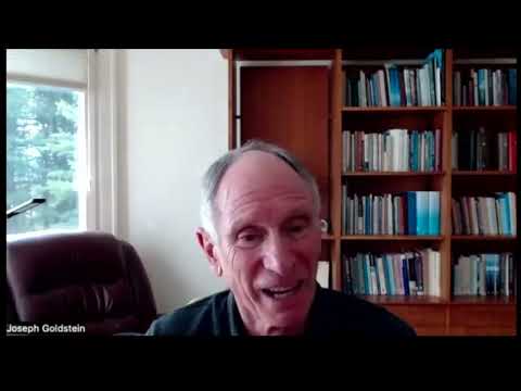 What Does Meditation Teach Us? | Joseph Goldstein