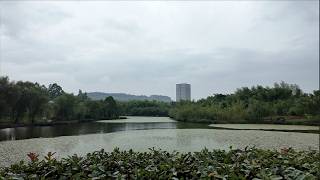 Ex primer ministro peruano destaca conservación en Parque Nacional de Humedales del Lago Shuanggui