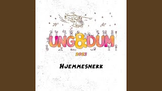 Ung &amp; Dum 2023 (Hjemmesnekk)