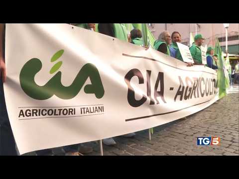 TG5 - Le imprese e la crisi. Cia a Montecitorio per chiedere misure a sostegno degli agricoltori