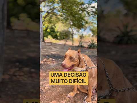 Ela se arrependeu mais não tinha como voltar atrás