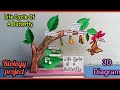 Life Cycle Of Butterfly Art And Craft