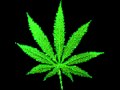 Legalize it / Hits from the Bong - Cypress Hill 