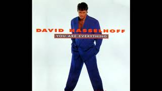 David Hasselhoff feat. Amy Sky - Until The Last Teardrop Falls (1993)