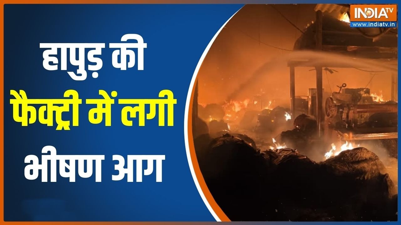 Hapur News: हापुड़ की फैक्ट्री में लगी भीषण आग, काले धुएं के ग