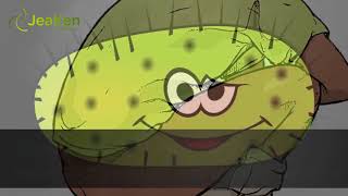 3 Guides To Follow When  Choosing  Probiotic Supplements