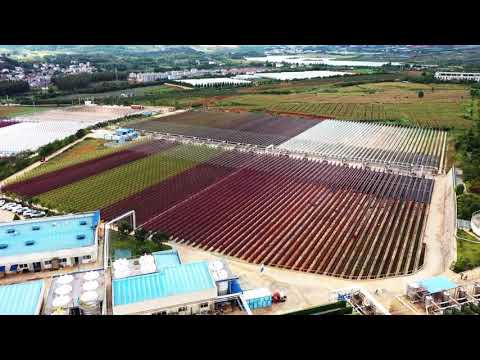 Natural Astaxanthin 4% Water Dispersible Powder