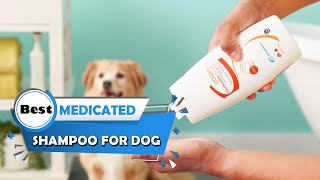 5 Best Medicated Shampoos for Dogs [Review 2023] - Medicated Shampoo for Dog With Skin Allergies