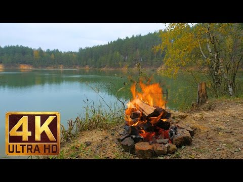 download lagu mp3 mp4 Fall Campfire, download lagu Fall Campfire gratis, unduh video klip Fall Campfire