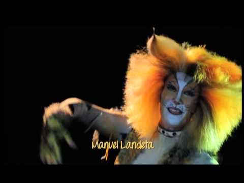 COMERCIAL CATS MÉXICO