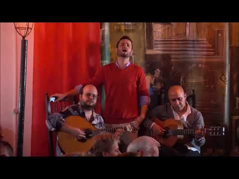 Luís Caeiro - "Estranha forma de vida" (Amália Rodrigues / Alfredo Duarte)