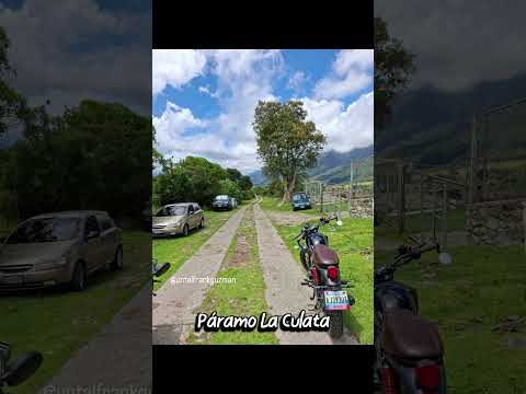 #Merida #Venezuela #paramolaculata