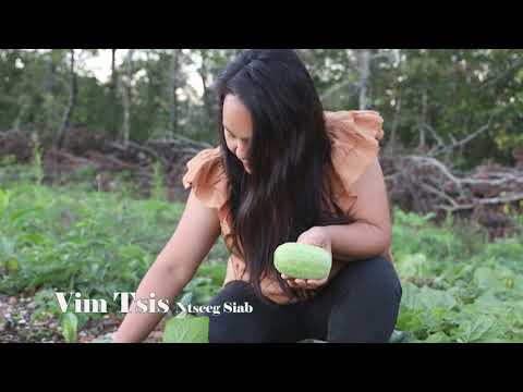 Vim Tsis Ntseeg Siab. 10/12/2020