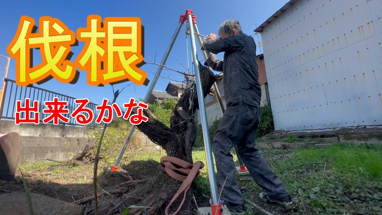 【古民家DIY】50代無職　古民家素人リノベ　#０３ 初めての伐根作業が辛すぎる　/リノベーション/リフォーム/DIY