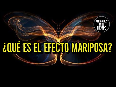 What is the Butterfly Effect? ​​#butterflyeffect