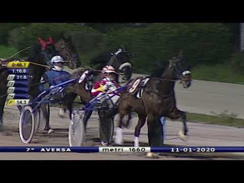 Aversa trotto 11 Gennaio 2020 - 7° Corsa