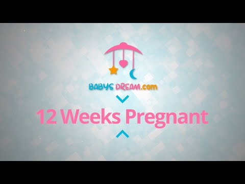12 Weeks Pregnant | pregnancy signs and symptoms