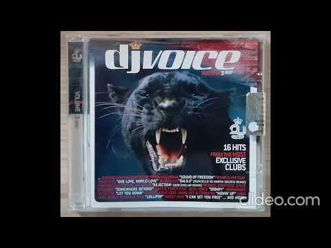 DJ Voice Compilation Volume 3/2007