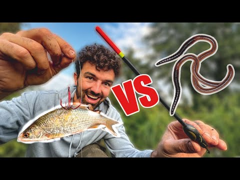 Köderfisch vs. Wurm 🤯 The River Vlog Folge 44