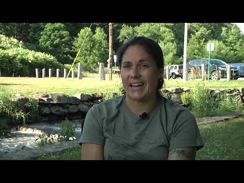 The 2020 Nemasket Herring Run