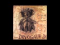 Dinosaur Jr. - Yeah We Know