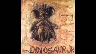 Dinosaur Jr. - Yeah We Know