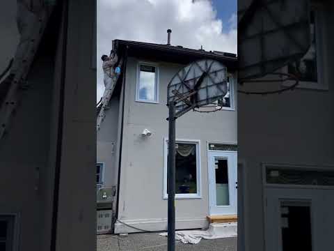 Frog clan painting group video.