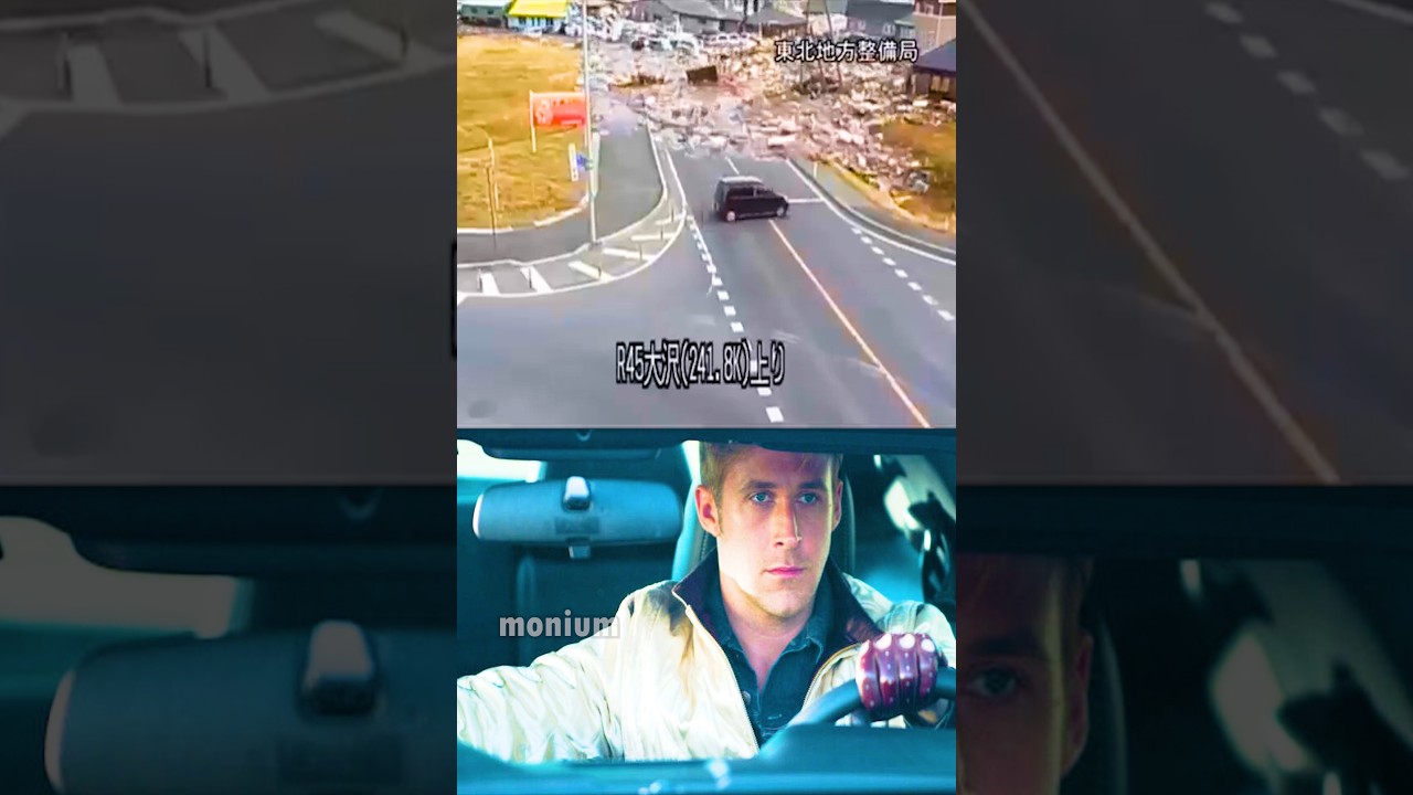 Survival instincts of a leaf 💔