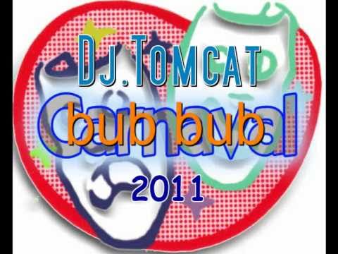 Carnaval 2011 (de megamix)