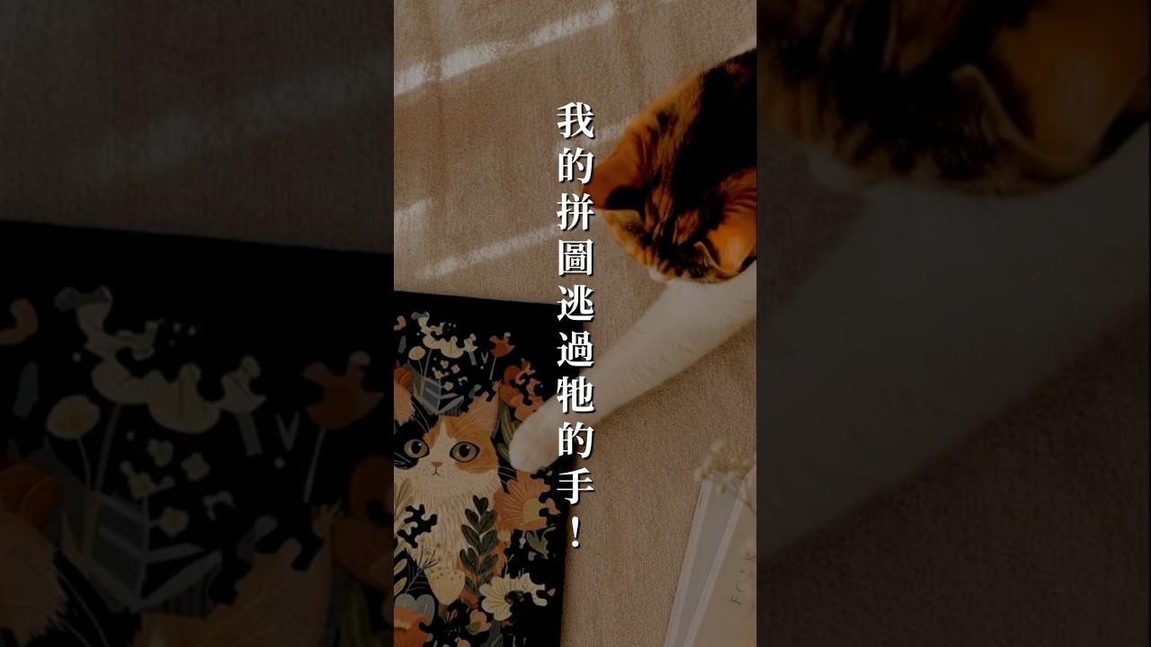 拼完即是畫！《花海裡的花》不散落的壁虎拼圖/ 藝術拼圖/ 台灣製