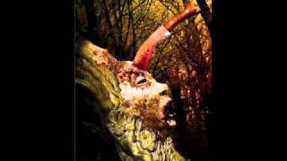 Bloodthorn - Dead men don&#39;t rape(GGFH cover).wmv