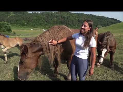 Caii lui Mihai de la Turda, Cluj - 2023 Nou!!!