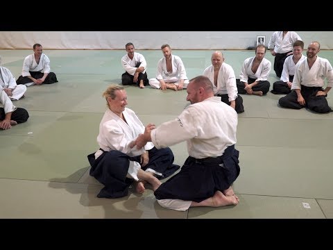 Aikido: Stephane Goffin - Seminardetails