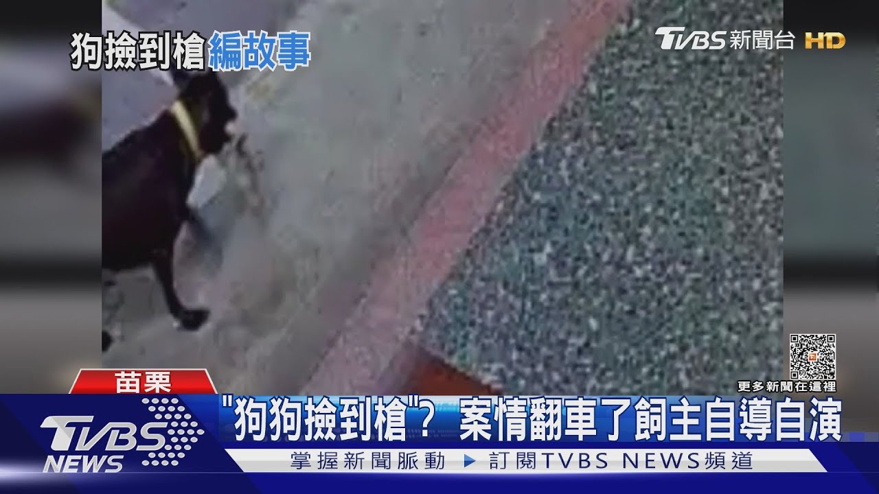「狗狗撿到槍」?？　案情翻車了飼主自導自演