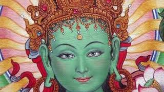 Shake That Monkey Too Short Feat  Lil Jon DD REmix