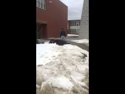 Snow Diving FAIL