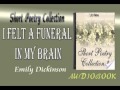 I Felt a Funeral in My Brain Emily Dickinson ...