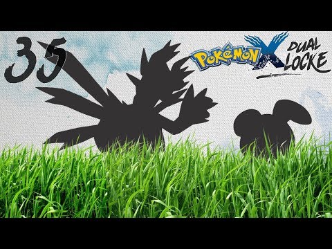 WILD POKEMON: YES OR NO? EP 35 POKEMON X DUALOCKE RANDOM