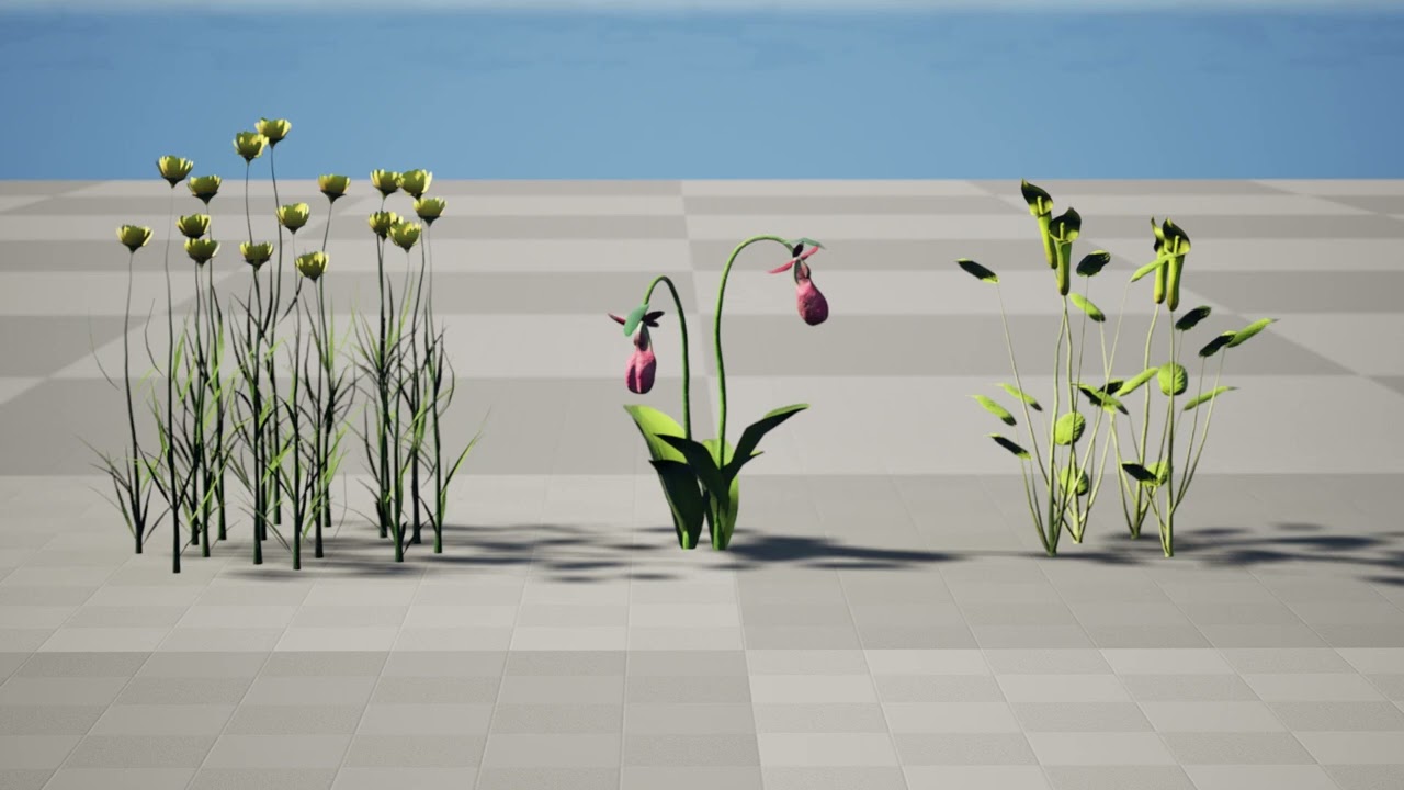 North American Wildflowers 03 3D Model