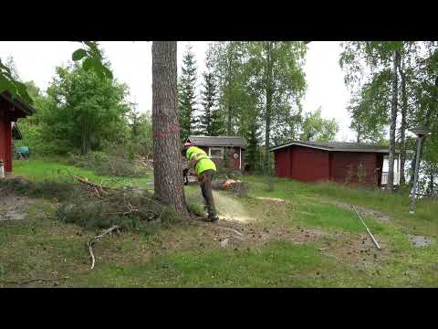 Astetta tiukempaan rakoon - miten äijän käy