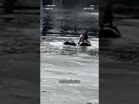 New Jersey officer rescues dog from frozen lake