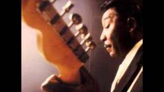 Muddy Waters &amp; Otis Spann -- I Live the Life I Love