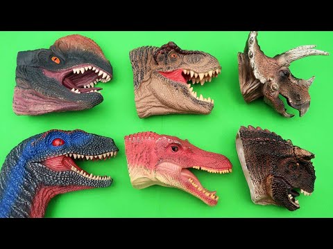 6 Dinosaur Heads - Big & Small Dino Toys. T-Rex, Triceratops